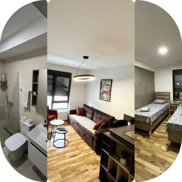 Lux apartment 12 center, free parking，位于尼什的酒店