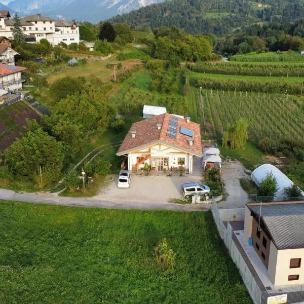 Agritur Maso Flonkeri，位于Vignola的酒店