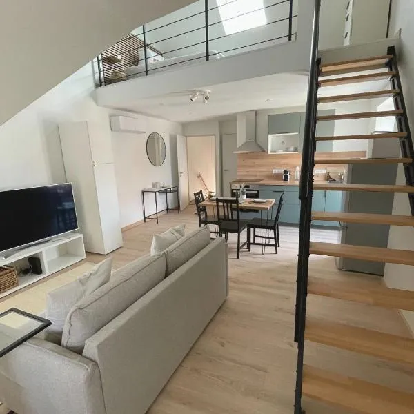 Duplex au cœur de Châteauroux，位于沙托鲁的酒店