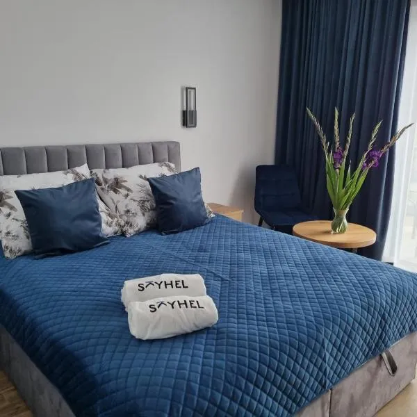 SkyHel Apartament 202，位于赫尔的酒店