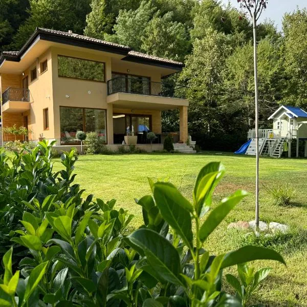 Villa Rivus - Private Family Retreat near Sarajevo，位于萨拉热窝的酒店