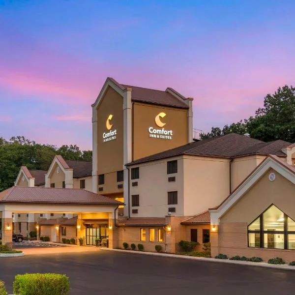 Comfort Inn & Suites LaVale - Cumberland，位于拉瓦莱的酒店