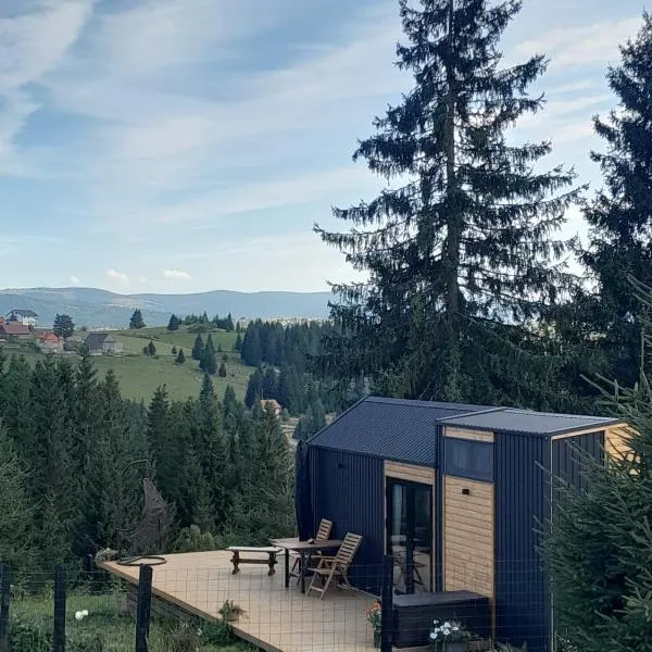 Natura Tiny House，位于Bogdăneşti的酒店