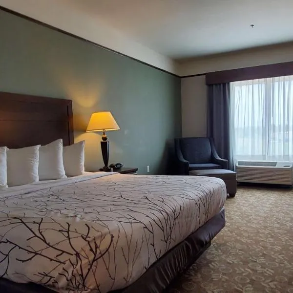 Best Western Plus Emory at Lake Fork Inn & Suites，位于Emory的酒店