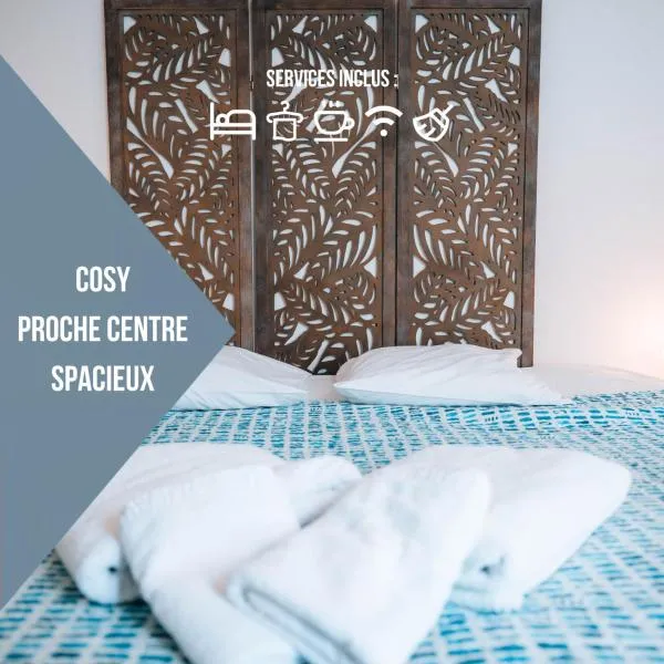 LE PETIT VOLTAIRE - Proche Centre Ville - Spacieux，位于沙托鲁的酒店