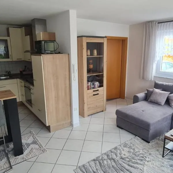 Ferienwohnung Illertal，位于Unteropfingen的酒店