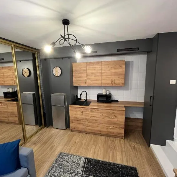 Apartament Lena，位于普热梅希尔的酒店