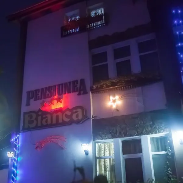 比安卡旅馆，位于博托沙尼的酒店