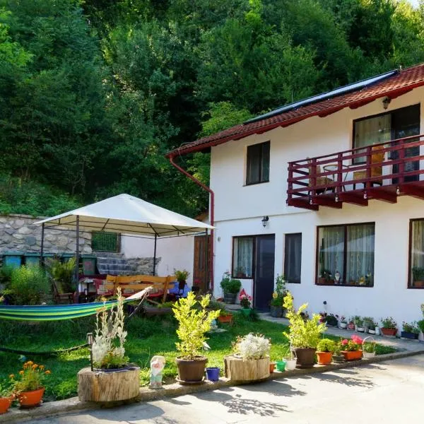 Simon House，位于西蒙的酒店