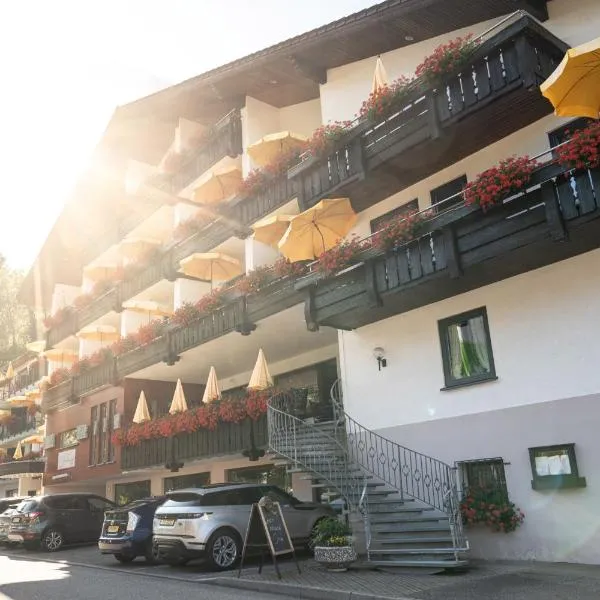 Ringhotel Sonnenhof，位于拜尔斯布龙的酒店