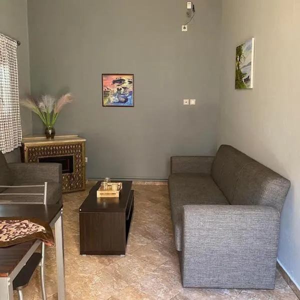 Aliki's house，位于利瑟昂的酒店