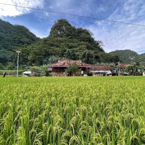 Nùng An homestay，位于Bà Dương的酒店