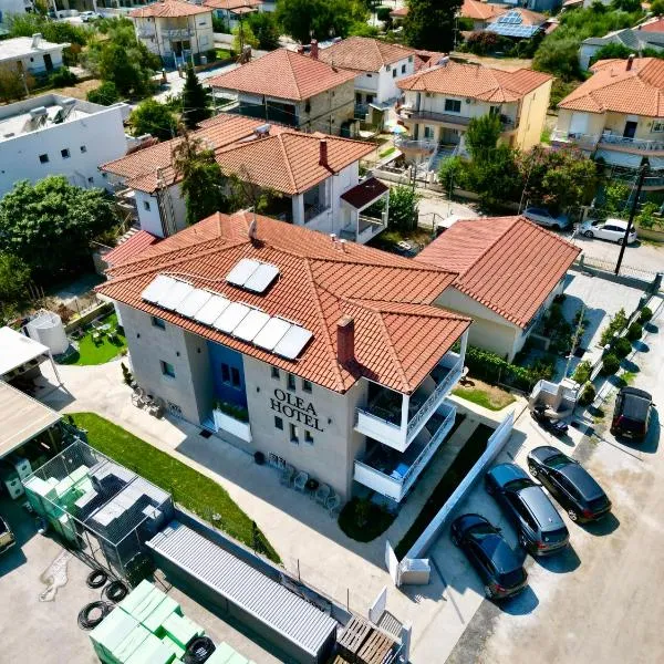 Olea Luxury Suites，位于艾斯普罗瓦塔的酒店