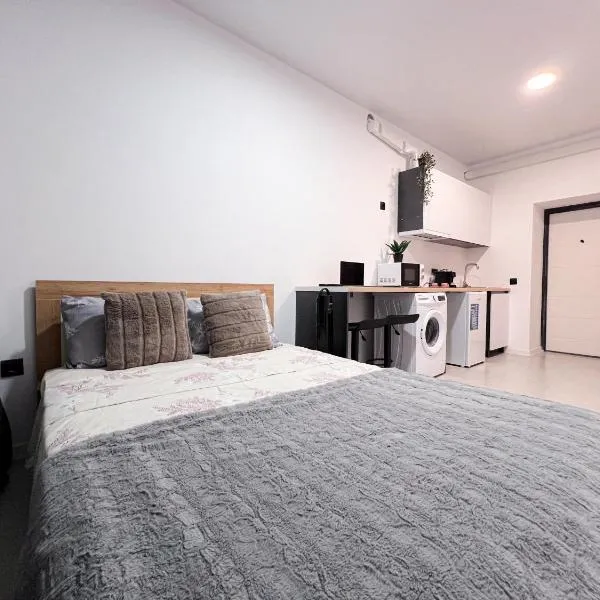 RentHouse Apartments NanoFlat #6，位于基希讷乌的酒店