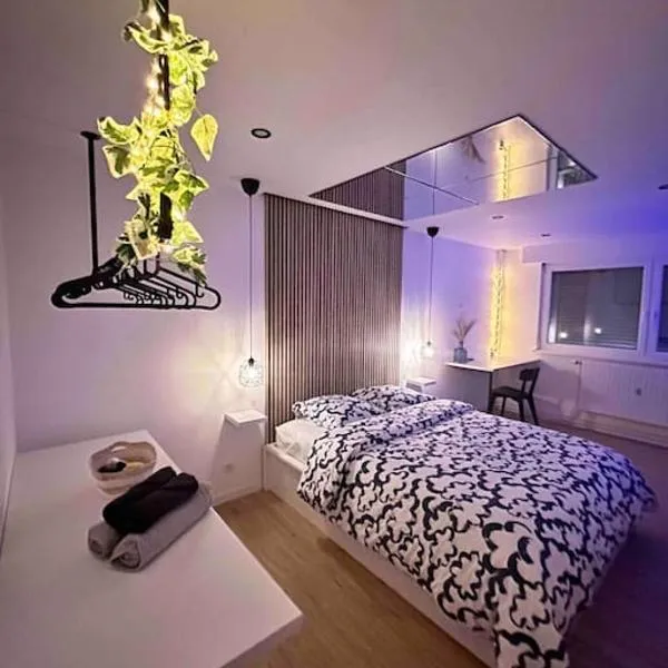 Blue pearl，位于圣路易的酒店