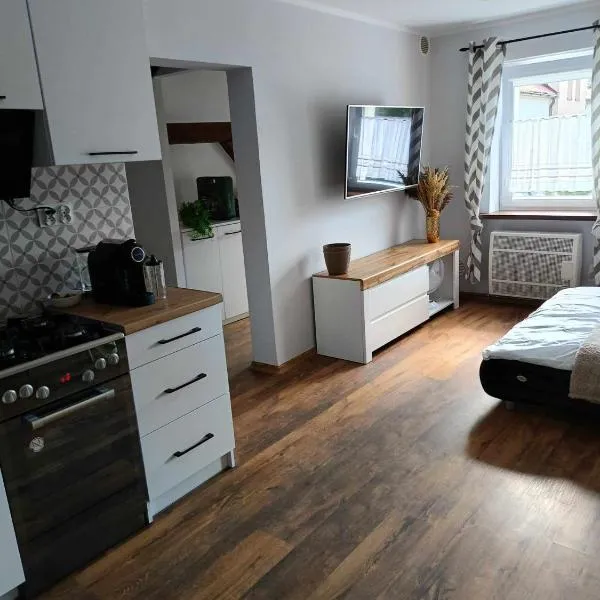 apartament 30 m2 FOR YOU，位于斯扎瓦诺泽德霍的酒店