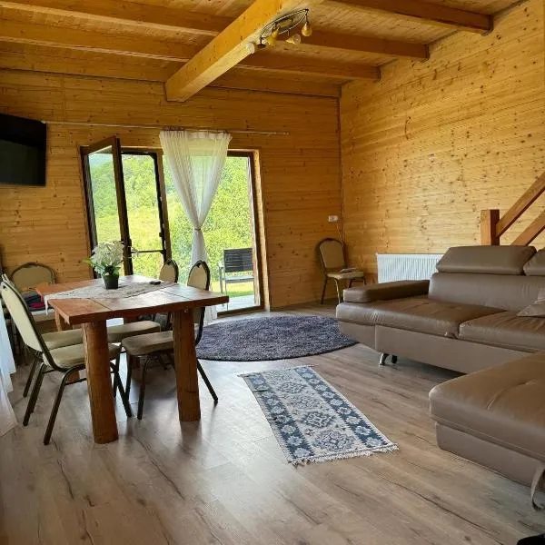 Cabana Izvorul Rece Maramureş，位于巴亚斯普列的酒店