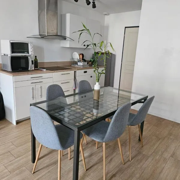 Appartement dans une ancienne usine，位于Chazelles-sur-Lyon的酒店
