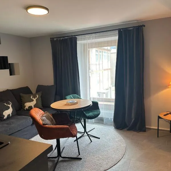 Studio Villa Anna Promenade 54，位于达沃斯的酒店