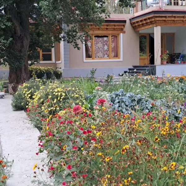 KARMA Homestay Sumur Nubra，位于努布拉的酒店