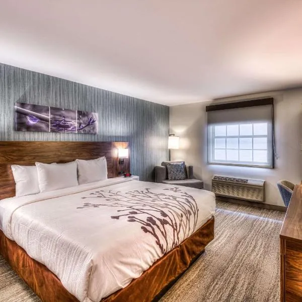 Sleep Inn Oakbrook Terrace - Chicago，位于绍姆堡的酒店