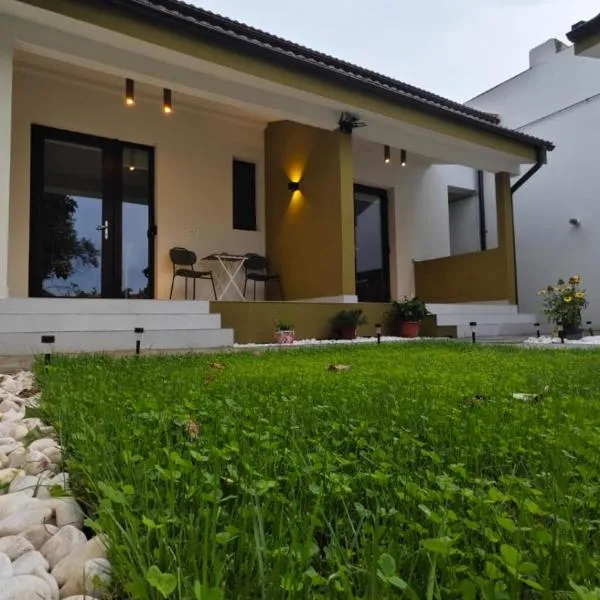 Gili Home Timisoara，位于蒂米什瓦拉的酒店