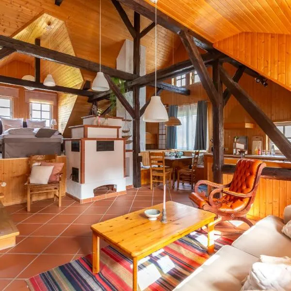 Loft 18 - mit Sauna-，位于施利茨的酒店