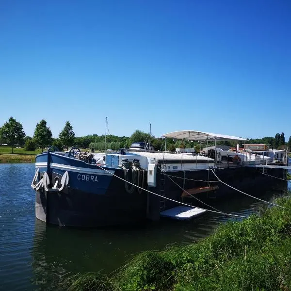 l'Odyssée Séjours sur Péniche，位于滨海努瓦耶勒的酒店