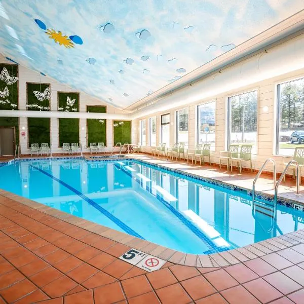 Natura Treescape Resort，位于威斯康星戴尔的酒店