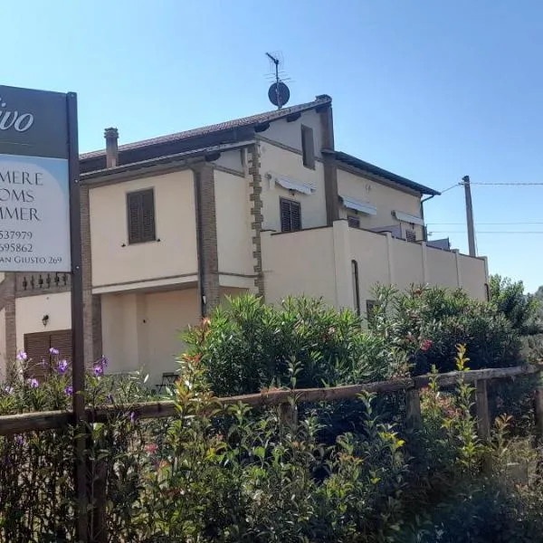 Agriturismo IL VECCHIO OLIVO，位于卡斯塔涅托卡尔杜奇的酒店