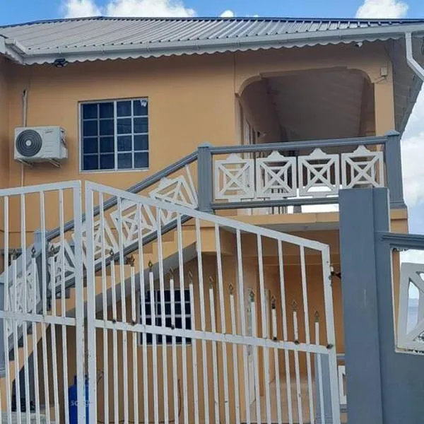 Windsor Apartment，位于金斯敦的酒店