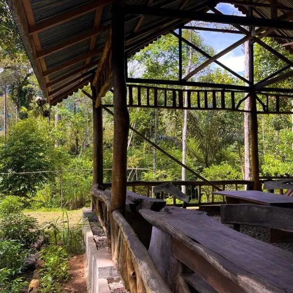 Batu Ridi Jungle，位于Timbanglawang的酒店