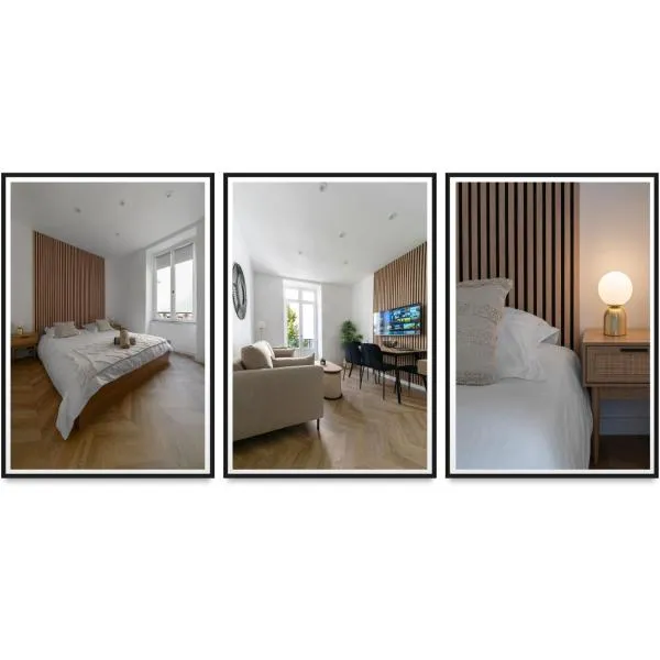 Résidence Serbie - Appartements design et climatisés en centre ville，位于维希的酒店