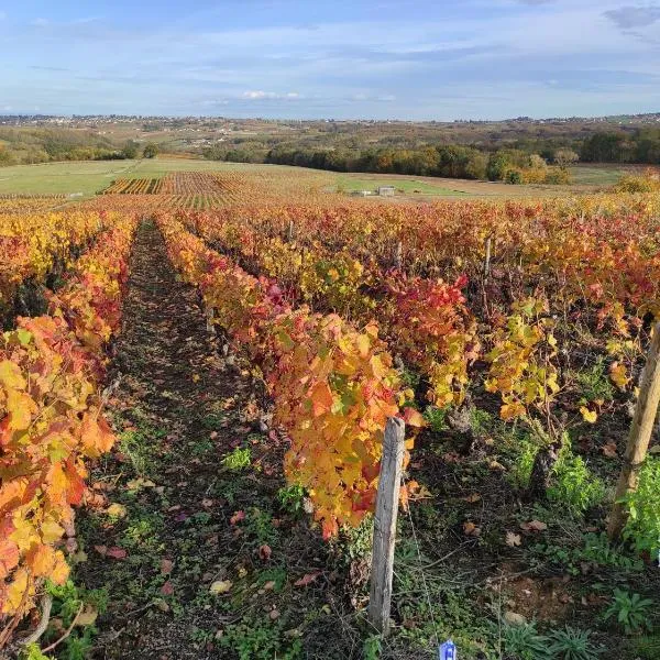 Les Meublés des Pierres Dorées - Gite de charme pour groupe，位于Theizé的酒店