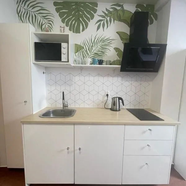 Apartament Solny Wieliczka Centrum 3，位于威利兹卡的酒店