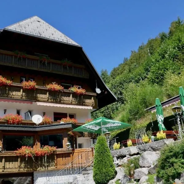 Hotel Silberfelsen，位于门曾施瓦德的酒店