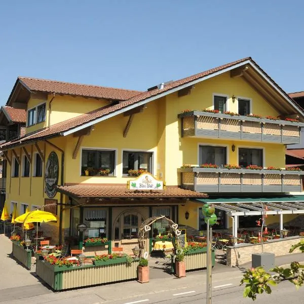 Appart-Hotel Wildererstuben，位于拜尔里舍艾森施泰恩的酒店