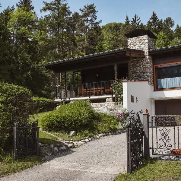 Ferienhaus am Schwarzerberg，位于Scheffau am Tennengebirge的酒店