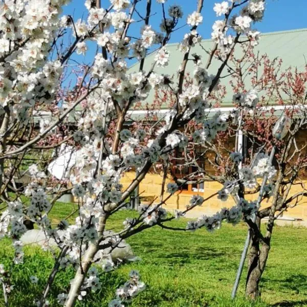 Kathmandu Farmstay - Pool Table, Ping Pong, Bicycles, PlayStation, Netflix, close to Bathurst and Mayfield Garden，位于Brewongle的酒店