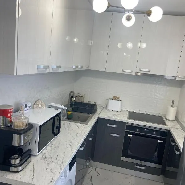 The performant，位于萨图马雷的酒店