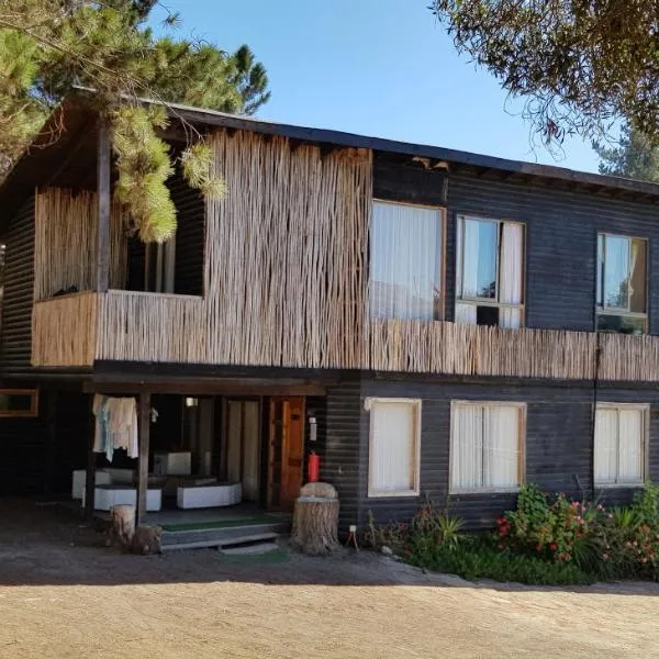 Cabañas Punta de Lobos，位于皮奇勒姆的酒店