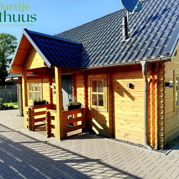 Ferienhaus "luettje Holthuus"，位于巴德茨维什安的酒店