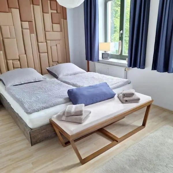 Gemütliche zentrale Wohnung in Zwickau，位于茨维考的酒店