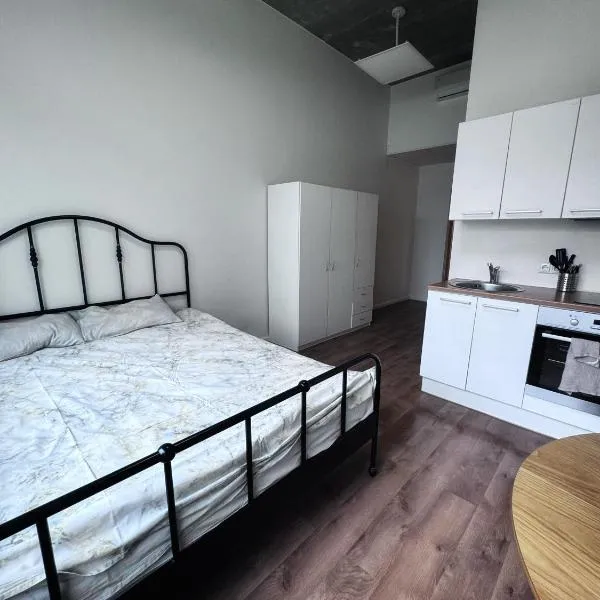 LKS apartments 2，位于Kose的酒店