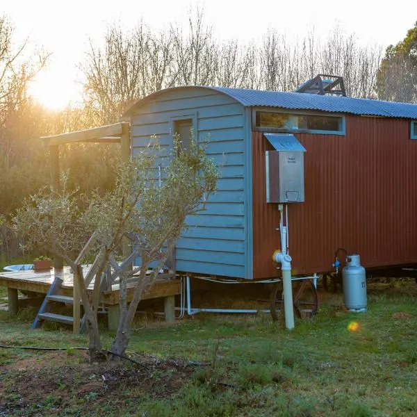 Silvergreen Shepherds hut，位于麦格雷戈的酒店