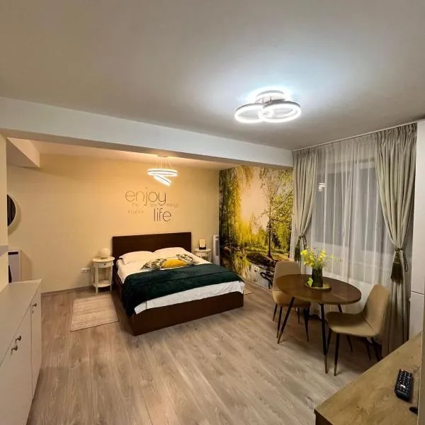 Confort Studio，位于阿尔巴尤利亚的酒店