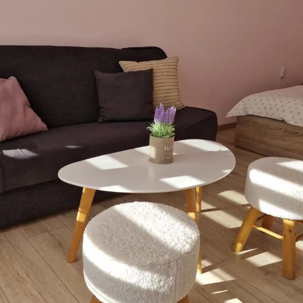 Apart Harmony，位于鲁塞的酒店