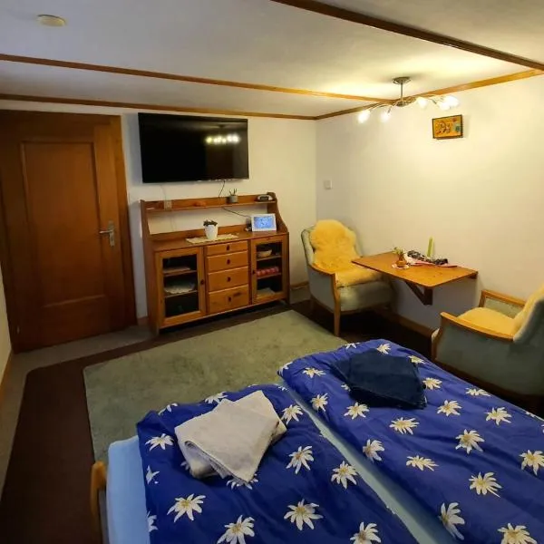 Charming 1-room apartment with Alpine feeling，位于伊森塔尔的酒店