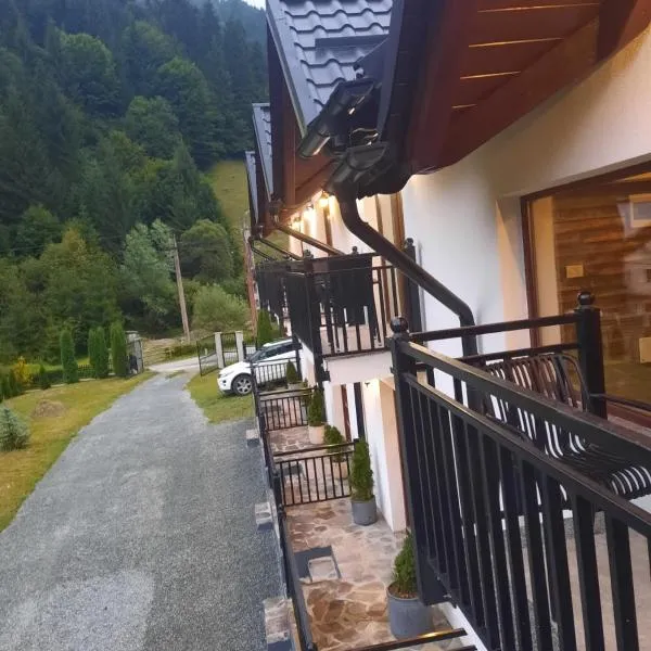 Apartamente Casa Albu，位于Statiunea Borsa的酒店