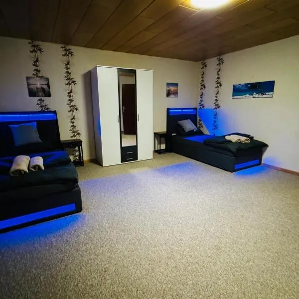 Classic Apartment，位于Tiddische的酒店